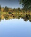 Mara - Mit Hilfsmittel - Beruf - Psychologische Lebensberatung - Hellsehen & Wahrsagen & Weissagung - Liebe & Partnerschaft
